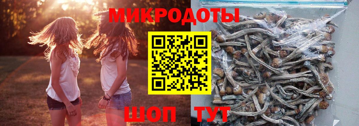 Кириши  Галлюциногенные грибы прущие грибы  наркошоп  Вход с VPN 