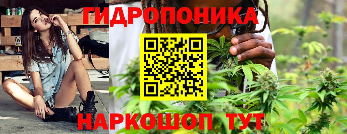 Бошки Шишки конопля Кириши